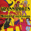 Grass Roots - Fox Oldies Artist Montage