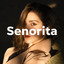 Senorita cover