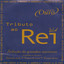 Um Jeito Estúpido de Te Amar cover