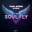 Let Your Soul Fly feat. Monsch