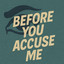 Before You Accuse Me