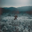 Bike Routes & Jake Clemons - Delicate