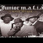 Riot Musik cover