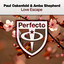 Paul Oakenfold — Love Escape - Dimatik Remix cover art
