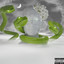 BOTHROPS ASPER cover