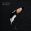 Juan Domecq - Fly Away