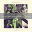 Calming Colorful Noises Selection For Total Relax cover