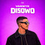 VANWYK — Disowo cover art
