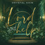 Crystal Aikin - Lord I Need Your Help (Radio Edit)