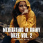 Ambient Rain: Meditating in Rainy Daze Vol. 2 cover