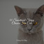 50 Sensational Sleepy Classics For Cats cover