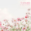 I stilhed cover