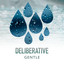 zZz Deliberative Gentle Rain Compositions zZz cover