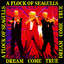 A Flock Of Seagulls - Who's That Girl (She's G*t It)