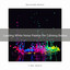 Leading White Noise Palette For Calming Babies cover