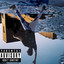 Transparent cover
