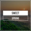 # 1 Album: Sweet Spring cover