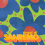 Brani di Sanremo cover