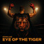 Eye of the Tiger (Survive) - Extended Mix