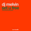DJ Melvin — Set U Free - Extended Mix cover art