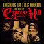 Insane In the Brain: The Best of Cypress Hill cover