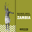 Zambia