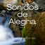 1 Sonidos de Alegría Vol. 2 cover