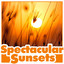 Spectacular Sunsets cover