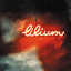 Lilium profile