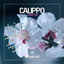 Carry Me - Original Club Mix