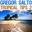 Gregor Salto - Tropical Tips 2 cover