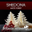 White Forest - Extended Mix