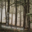 Through The Woods artwork
