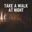 Take a Walk At Night cover