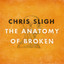 The Anatomy of Broken cover