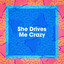She Drives Me Crazy cover