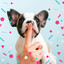 Carefree (Puppy Training) cover