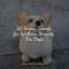 50 Serene Sounds for Wellness Serenity For Dogs cover
