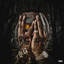 Big Ape cover