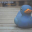 Strēlniece cover