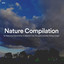 #01 Nature Compilation for Reducing Distractions, to Balance Your Thoughts and Stay Asleep Longer cover