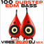 100 Dubstep EDM Bass Vibes 2020 (DJ Mix) cover