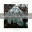 Ultra White Noise Compilation For Tension Relief cover