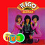 Vámonos De Fiesta cover