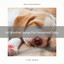 All Weather Songs For Household Dogs cover