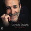 Yeşil Başlı Telli Turnam cover