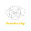 Afternoon Music for Dogs cover