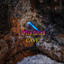 Dark cover