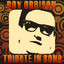 Roy Orbison Tribute in Song cover