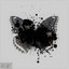 The Black Butterfly cover